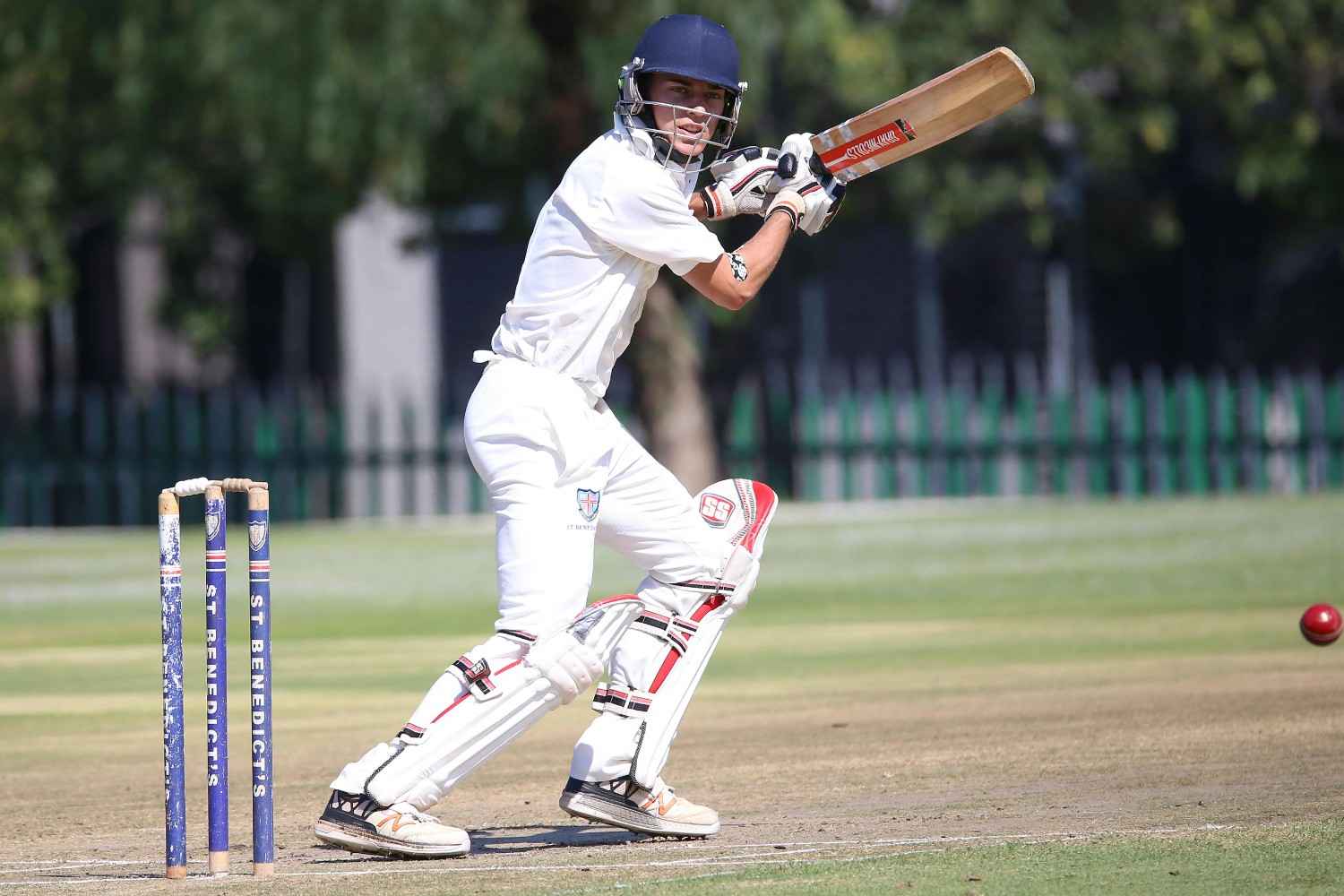 Kashmir Willow Cricket Bat